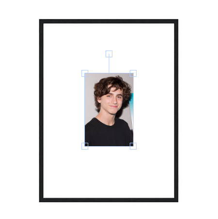 Timothee Chalamet Metal Framed Poster
