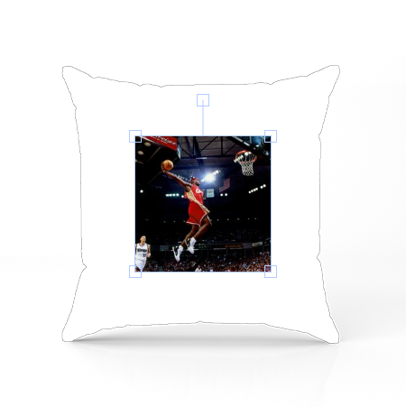 Lebron James Pillow