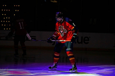 Aaron Ekblad Poster 3555121