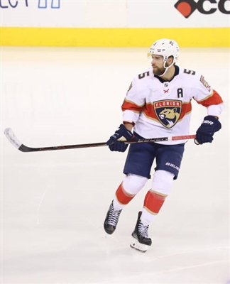 Aaron Ekblad Poster 3555196