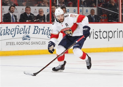 Aaron Ekblad Poster 3555211