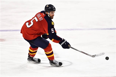 Aaron Ekblad Poster 3555224