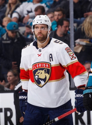 Aaron Ekblad Poster 3555242