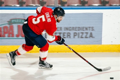 Aaron Ekblad Poster 3555320