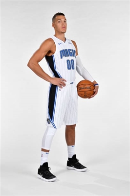 Aaron Gordon Poster 3398178