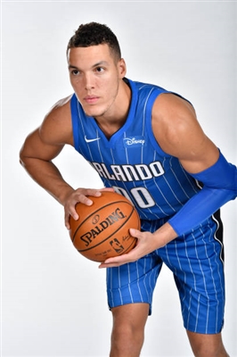 Aaron Gordon Poster 3398228