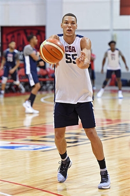 Aaron Gordon Poster 3398351