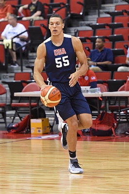 Aaron Gordon Poster 3398375