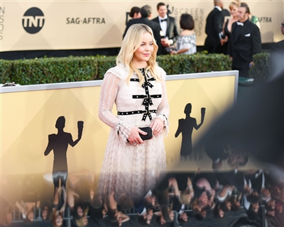 Abbie Cornish Poster 3028292