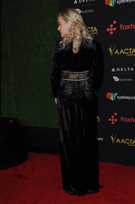 Abbie Cornish Poster 3028365