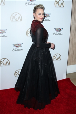 Abbie Cornish Poster 3028378