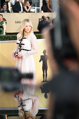 Abbie Cornish Poster 3028382