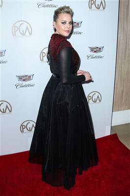 Abbie Cornish Poster 3028402