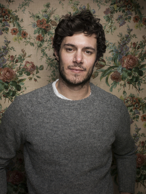 Adam Brody Poster 2316955