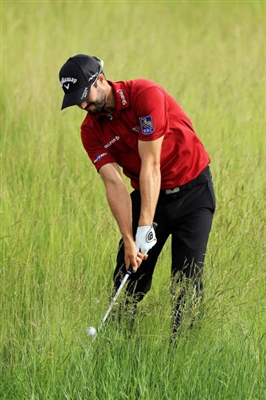 Adam Hadwin Poster 3499856