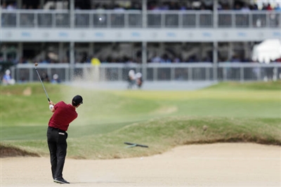 Adam Hadwin Poster 3499895
