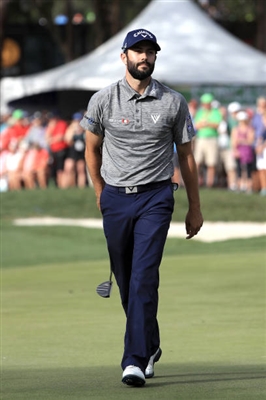 Adam Hadwin Poster 3499980