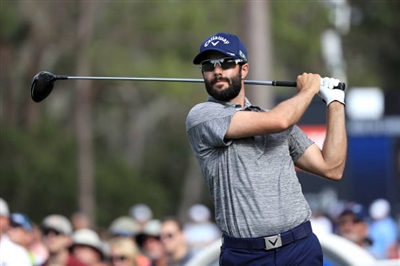 Adam Hadwin Poster 3500069