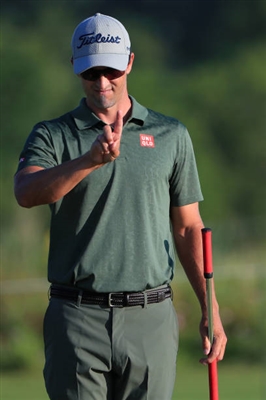 Adam Scott Poster 3507825