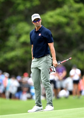 Adam Scott Poster 3507826