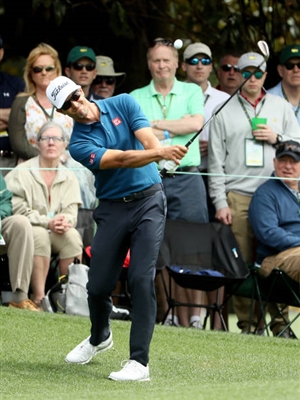 Adam Scott Poster 3507827