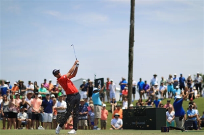 Adam Scott Poster 3507837