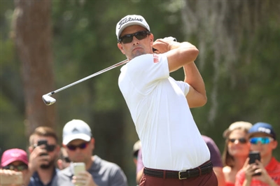 Adam Scott Poster 3507840