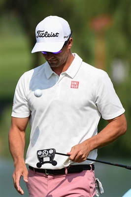 Adam Scott Poster 3507851