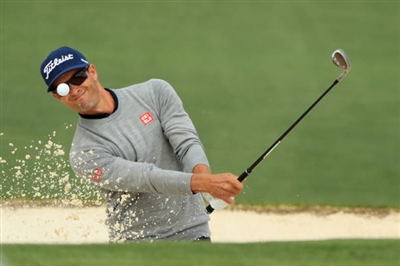 Adam Scott Poster 3507853