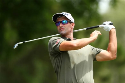 Adam Scott Poster 3507914