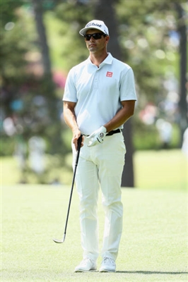 Adam Scott Poster 3507923