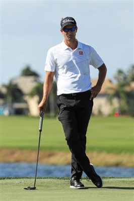 Adam Scott Poster 3507936
