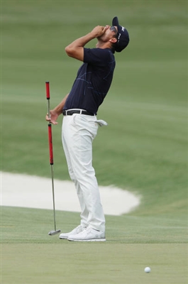 Adam Scott Poster 3507941