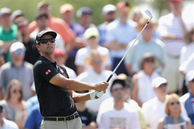 Adam Scott Poster 3507961