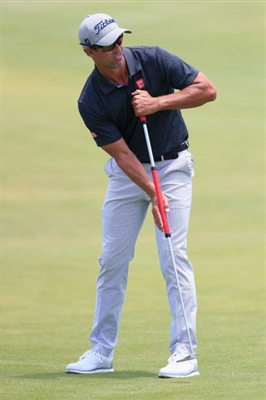 Adam Scott Poster 3507976
