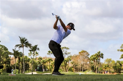 Adam Scott Poster 3507988