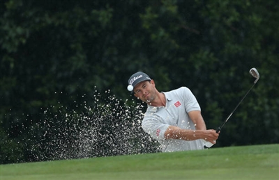 Adam Scott Poster 3507992