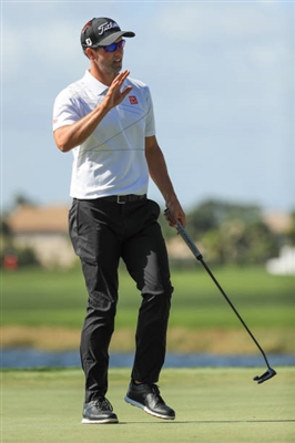 Adam Scott Poster 3507995