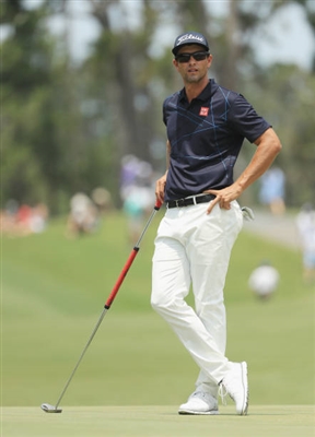 Adam Scott Poster 3508011