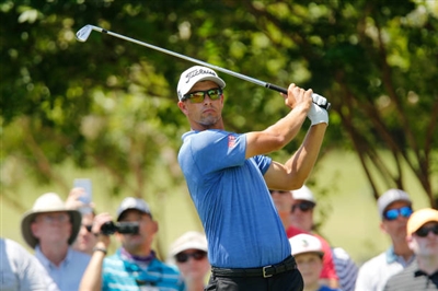 Adam Scott Poster 3508036