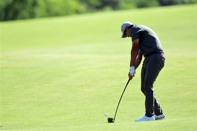 Adam Scott Poster 3508041