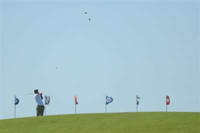 Adam Scott Poster 3508052