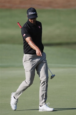 Adam Scott Poster 3508063