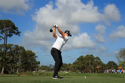 Adam Scott Poster 3508064