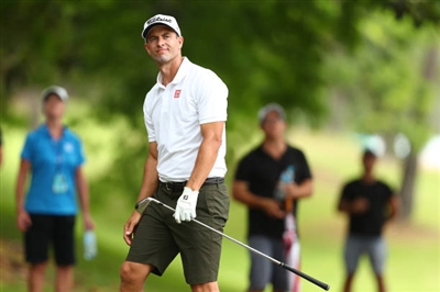 Adam Scott Poster 3508082