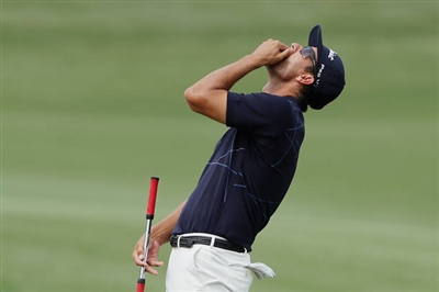 Adam Scott Poster 3508095