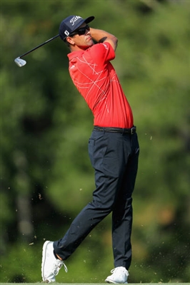 Adam Scott Poster 3508112