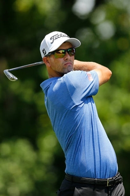 Adam Scott Poster 3508114