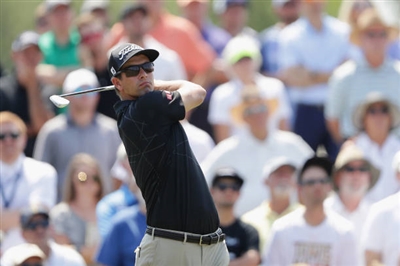 Adam Scott Poster 3508118