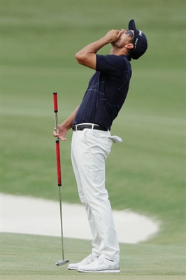 Adam Scott Poster 3508133